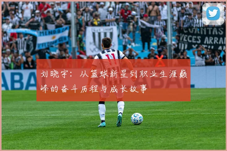刘晓宇：从篮球新星到职业生涯巅峰的奋斗历程与成长故事